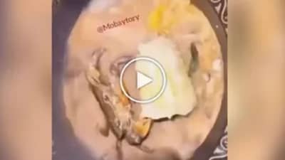 Shocking Video: અહીં તો મોજે દરિયા... ગરમ કડાઈમાં જીવતા કરચલાએ ખાધી મકાઈ, વાયરલ ક્લિપનું સત્ય શું છે તે જૂઓ Videoમાં