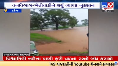 ડાંગ જિલ્લામાં વરસી રહ્યો છે વરસાદ, સતત વરસાદથી પૂર્ણા નદીમાં ઘોડાપૂર ડાંગ જિલ્લામાં વરસી રહ્યો છે વરસાદ, સતત વરસાદથી પૂર્ણા નદીમાં ઘોડાપૂર