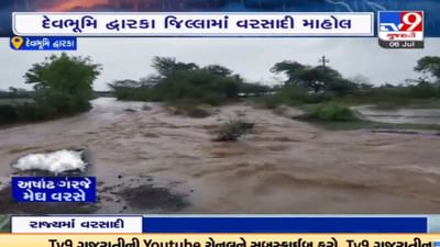 Devbhoomi Dwarka: દેવભૂમિદ્વારકા જિલ્લામાં વરસાદી માહોલ, કલ્યાણપુર અને ગ્રામ્ય પંથકમાં ધોધમાર વરસાદ Devbhoomi Dwarka: દેવભૂમિદ્વારકા જિલ્લામાં વરસાદી માહોલ, કલ્યાણપુર અને ગ્રામ્ય પંથકમાં ધોધમાર વરસાદ