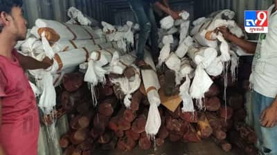 પુષ્પા ગુજરાતમાં સક્રીય, સાણંદમાંથી રૂ. 7 કરોડનું 4 ટન રક્તચંદન પકડાયું