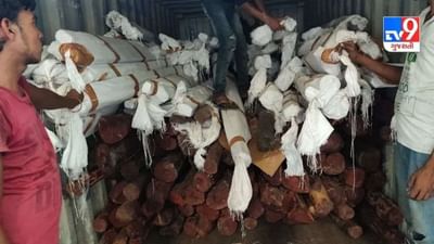 'પુષ્પા' ગુજરાતમાં સક્રીય, સાણંદમાંથી રૂ. 7 કરોડનું 4 ટન રક્તચંદન પકડાયું