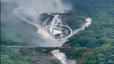 Amazing Viral Video: 'દૂધસાગર ધોધની' વચ્ચેથી નીકળી ટ્રેન, અદભુત નજારો જોઈને લોકો થયા મંત્રમુગ્ધ