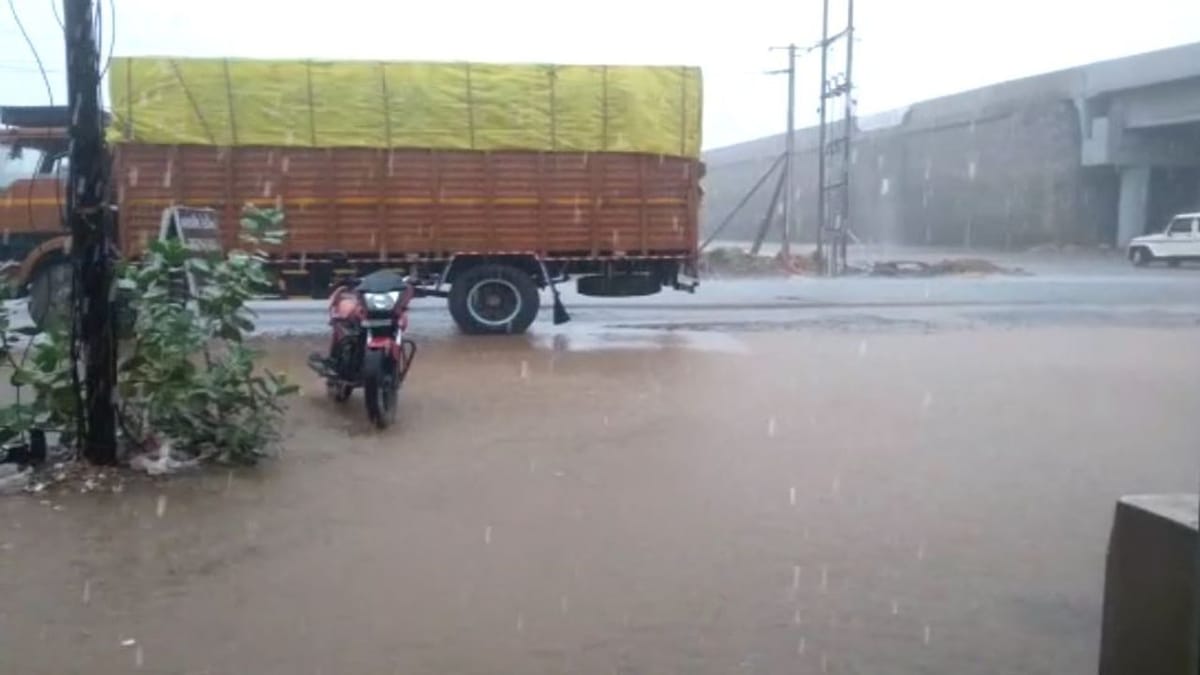 Monsoon 2022: રથયાત્રાના દિવસે મેઘરાજાએ પણ કર્યાં અમી છાંટણા, અષાઢના આરંભે વિવિધ જિલ્લામાં નોંધાયો વરસાદ