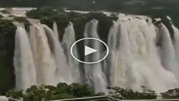 ભારતના Niagara Fallsની સુંદરતા જોઈ દંગ રહી ગયા વિદેશીઓ, ટ્વીટર પર શેયર કરી હૃદય સ્પર્શી વાત
