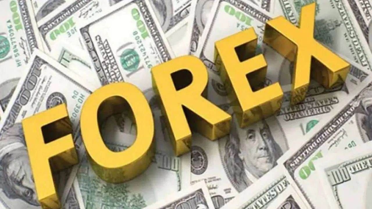 forex-reserves-204