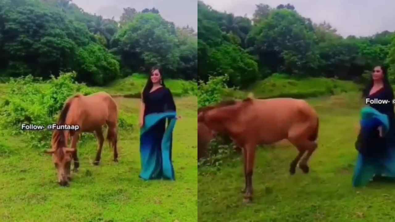 Funny Video: Kicking into Reels Making! People said 'Papa's fairy is scared  of horses' Horse tried to kick the girl while she is making Instagram reels Video  Goes viral on Social Media |