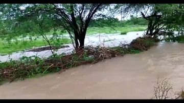 Gir somnath: વરસાદ બાદની સમસ્યાઓથી નાગરિકો ત્રસ્ત
