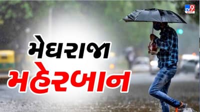રાજ્યભરમાં છવાયો વરસાદી માહોલ, રાજ્યના 175 પૈકી 80થી વધુ તાલુકામાં નોંધપાત્ર વરસાદ