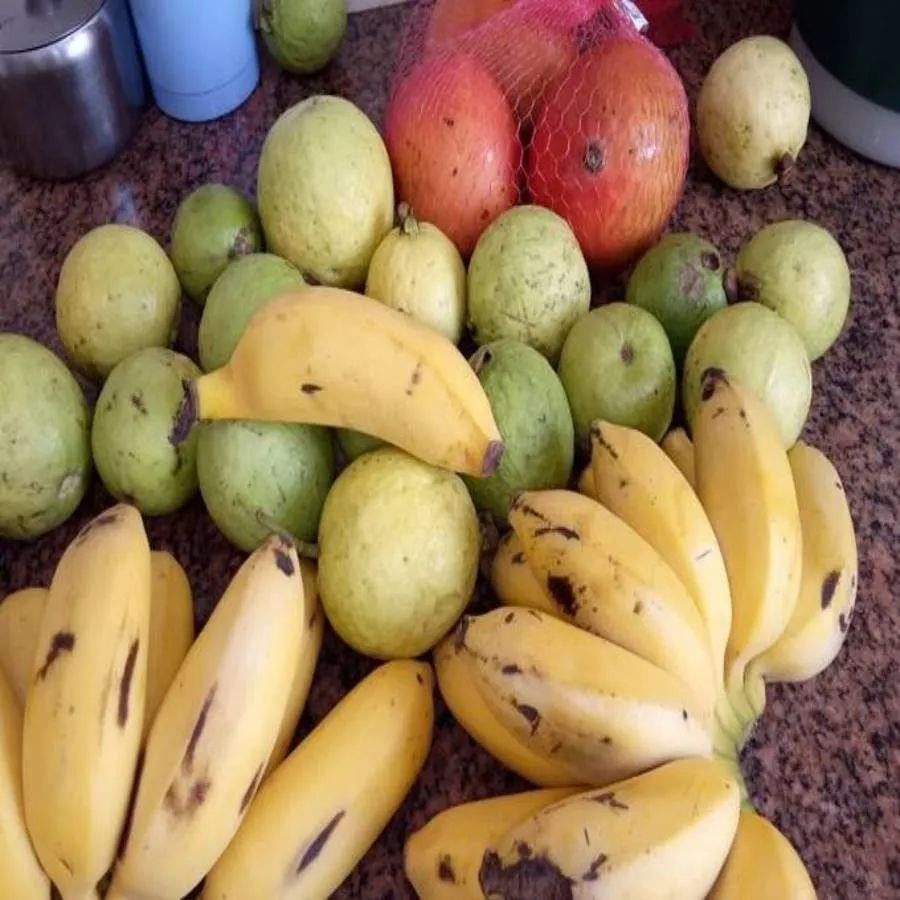 જામફળ અને કેળાં: તમને ફ્રૂટ ચાટ ગમે છે, પરંતુ આમાં કેટલાક ફળો એકસાથે ન ખાવા જોઈએ. અમે વાત કરી રહ્યા છીએ જામફળ અને કેળાંની. નિષ્ણાંતોના મતે આ બે ફળ એકસાથે ખાવાથી ઉબકા, ઉલ્ટી કે માથાનો દુખાવા જેવી સમસ્યા થઈ શકે છે.
