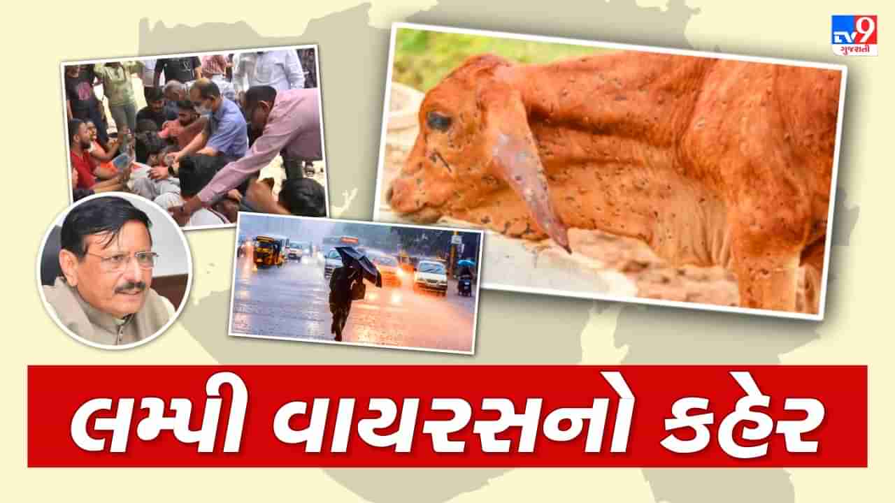 Gujarat Top News: ફરી ગુજરાતમાં મેઘાના મંડાણ, ક્યા મળી રહી છે સાધુ-સંતોને ધમકી? ABVPએ શા માટે દર્શાવ્યો વિરોધ? જાણો ગુજરાતના મહત્વના સમાચાર