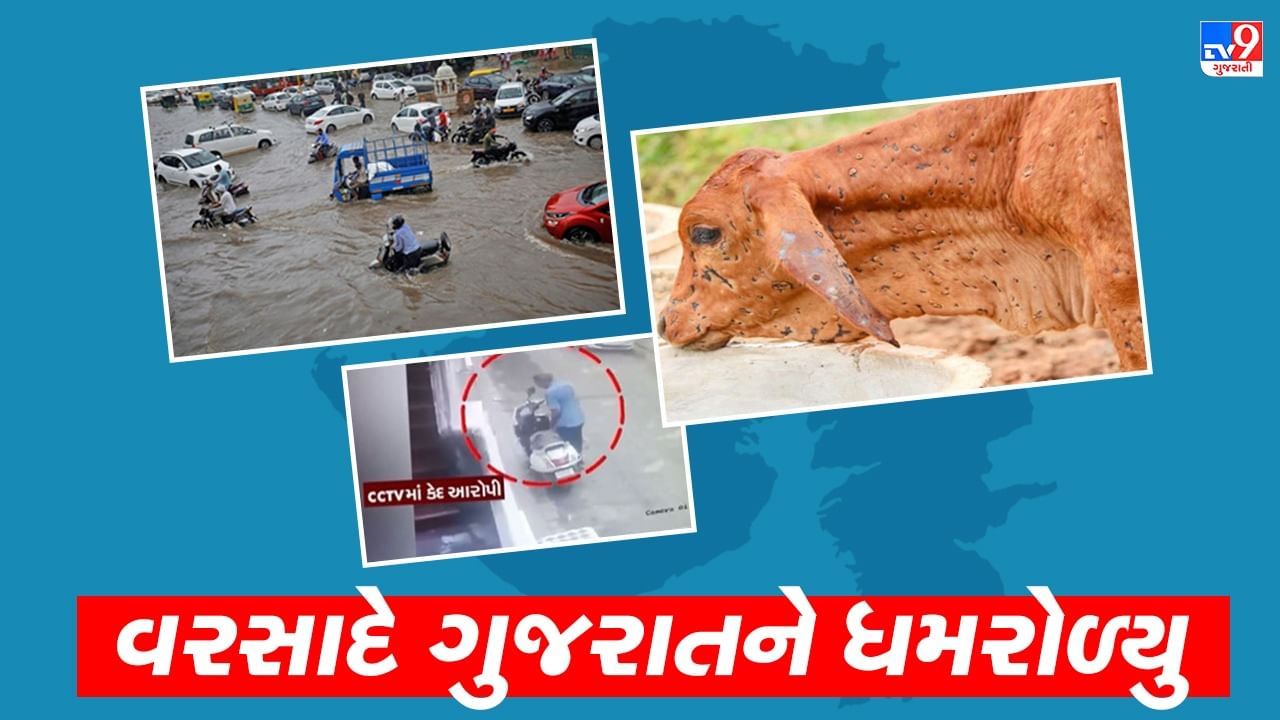 Gujarat Top News: વરસાદે ગુજરાતને ધમરોળ્યુ, અમદાવાદ મર્ડર મિસ્ટ્રીનો ભેદ ઉકેલાયો, બનાસ ડેરીએ પશુપાલકોને આપી મહત્વની સૂચના, જાણો ગુજરાતના મહત્વના સમાચાર