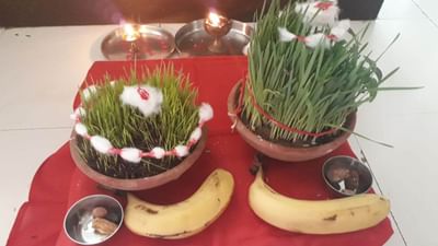 ગૌરી વ્રત અને જયા પાર્વતી વ્રતમાં જવારા પૂજનનો શા માટે છે અદકેરો મહિમા ? જાણો રોચક રહસ્ય!