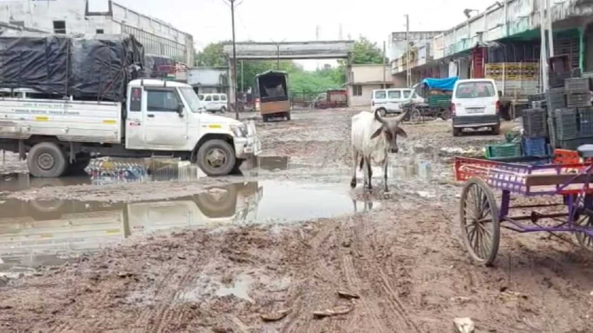Gandhinagar: કલોલ APMCના હોલસેલ રિટેલના શાક માર્કેટના વેપારીઓ પ્રાથમિક સુવિધાના અભાવના કારણે બેહાલ