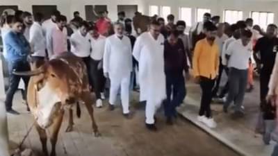 રાજ્યમાં 17 જિલ્લા લમ્પીથી પ્રભાવિત, કૃષિ પ્રધાન રાઘવજી પટેલે દેવભૂમિ દ્વારકાની લીધી મુલાકાત