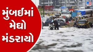 Maharashtra Heavy Rainfall Alert : મહારાષ્ટ્રના થાણે, પાલઘરમાં અતિભારે વરસાદ, મકાનો થયા ઘરાશાય