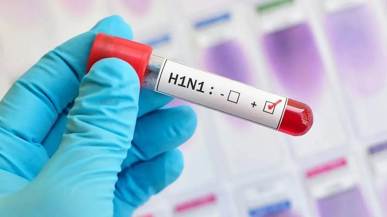 Maharashtra Swine Flu News : મહારાષ્ટ્રમાં સ્વાઈનફ્લુનો કહેર, મુંબઈમાં સૌથી વધુ દર્દીઓ, અત્યાર સુધીમાં 7 લોકોના મોત