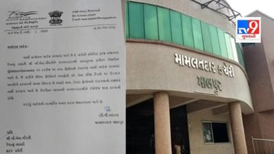 મામલતદારને સોશિયલ મીડિયાનુ લાગ્યુ 'ઘેલુ'! કાર્યાલય આદેશ કરી એક કર્મચારીને જ સોંપી ખાસ ફરજ