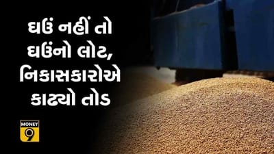 MONEY9: ઘઉં પર પ્રતિબંધ લાગતા નિકાસકારો લોટની નિકાસ કરવા માંડ્યા