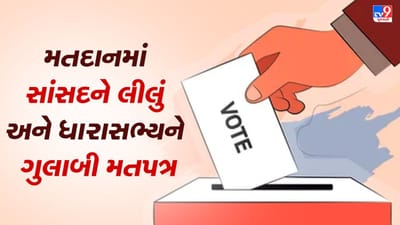 President Election 2022: રાષ્ટ્રપતિની ચૂંટણી માટેના મતદાનમાં સાંસદને લીલું અને MLAને ગુલાબી મતપત્ર કેમ અપાયુ ? જાણો શું છે તેનું કારણ