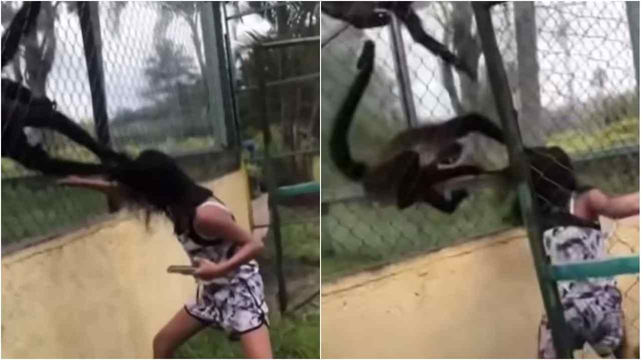 Viral Video: વાંદરાની મસ્તી કરવી યુવતીને ભારે જ નહીં પણ અતિભારે પડી, આ રીતે કંઈક વાંદરાઓએ ભણાવ્યો પાઠ