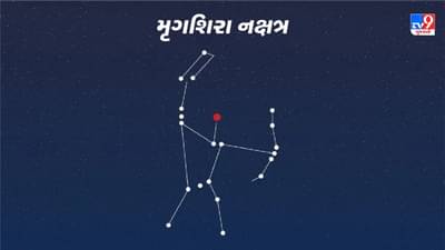 Mrigashira Nakshatra : મૃગાશિરા રાશિનું પાંચમું નક્ષત્ર છે, જાણો તેની શક્તિઓ અને નબળાઈઓ