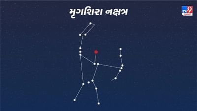Mrigashira Nakshatra : મૃગાશિરા રાશિનું પાંચમું નક્ષત્ર છે, જાણો તેની શક્તિઓ અને નબળાઈઓ