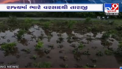 ગુજરાતના 8 જિલ્લાના 38 તાલુકામાં ભારે વરસાદથી પાકને નુકસાન, 29,800 હેક્ટર જમીનમાં પાક નુકસાનીનો સરવે પૂર્ણ કરાયો