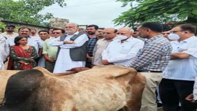 Porbandar: લમ્પી ગ્રસ્ત વિસ્તારની મુલાકાત લેતા કેન્દ્રીય મંત્રી પરષોત્તમ રૂપાલા, રાણાવાવમાં દેખાયો મગર, જાણો પોરબંદર શહેરના મહત્વના સમાચારો