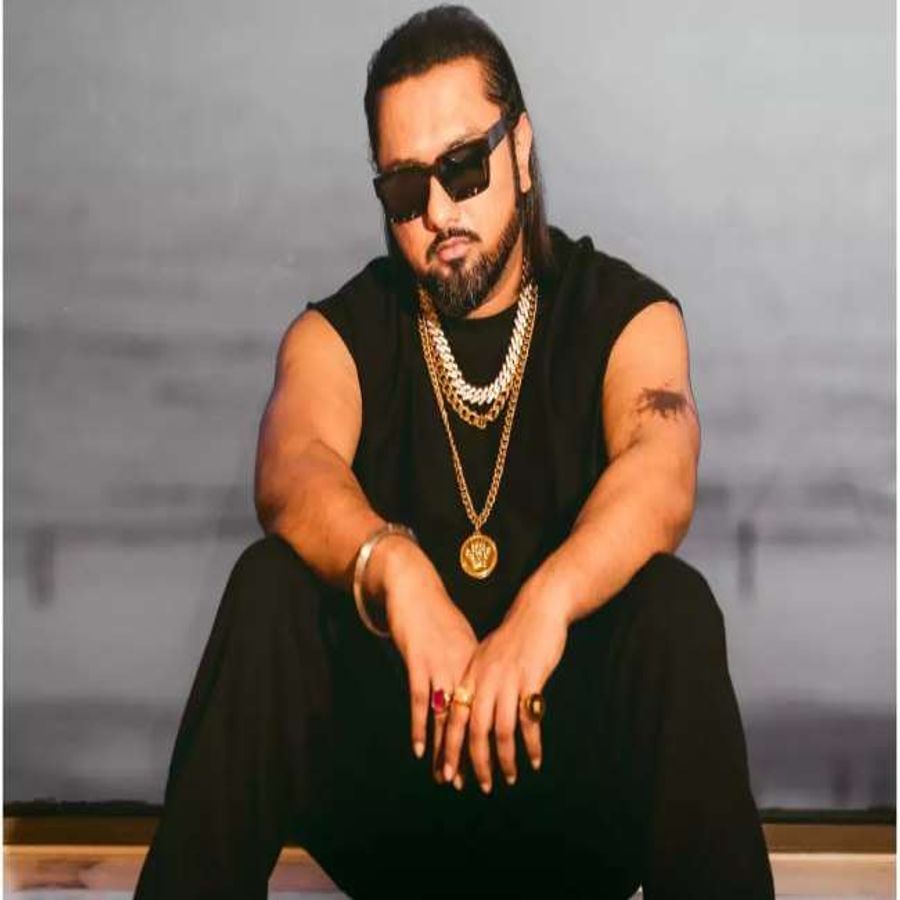 હની સિંહ ખુબ જ ફેમસ પંજાબી સિંગર છે. તે ઘણી વખત વિવાદોમાં પણ રહ્યો છે. તેના ગીતોને લાખો વ્યૂઝ મળતા હોય છે. તેની સંપતિ 25 મિલિયન ડોલર છે.