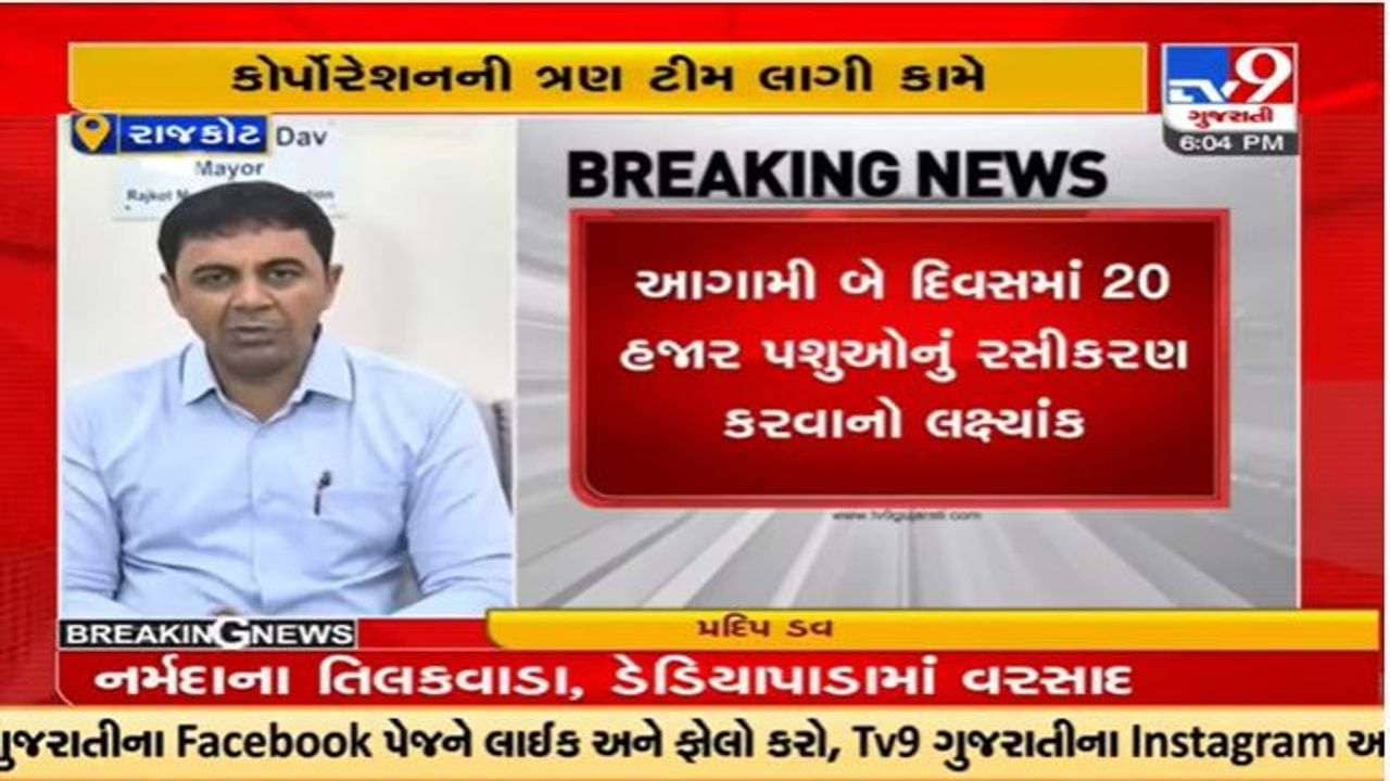 Rajkot : લમ્પી વાયરસના કેસ વધતાં કોર્પોરેશન તંત્ર એક્શનમાં, રસીકરણ અભિયાન શરૂ કર્યું