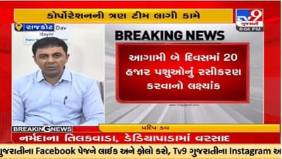Rajkot : લમ્પી વાયરસના કેસ વધતાં કોર્પોરેશન તંત્ર એક્શનમાં, રસીકરણ અભિયાન શરૂ કર્યું Rajkot : લમ્પી વાયરસના કેસ વધતાં કોર્પોરેશન તંત્ર એક્શનમાં, રસીકરણ અભિયાન શરૂ કર્યું