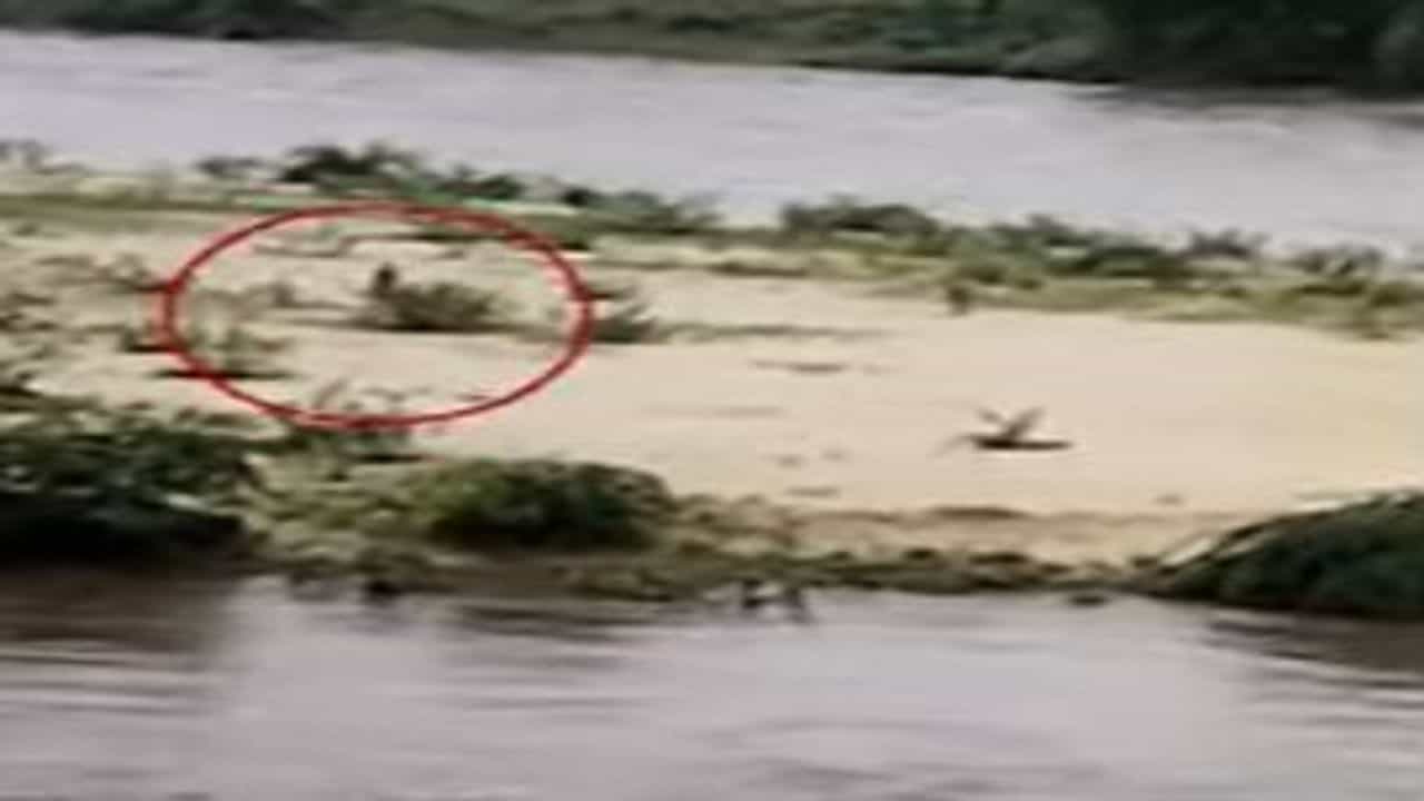 દિલધડક રેસક્યૂ : NDRFની જહેમતથી 6 કલાક બાદ નદી વચ્ચે ફસાયેલા યુવકને બચાવી લેવાયો, જુઓ VIDEO