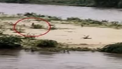 દિલધડક રેસક્યૂ : NDRFની જહેમતથી 6 કલાક બાદ નદી વચ્ચે ફસાયેલા યુવકને બચાવી લેવાયો, જુઓ VIDEO