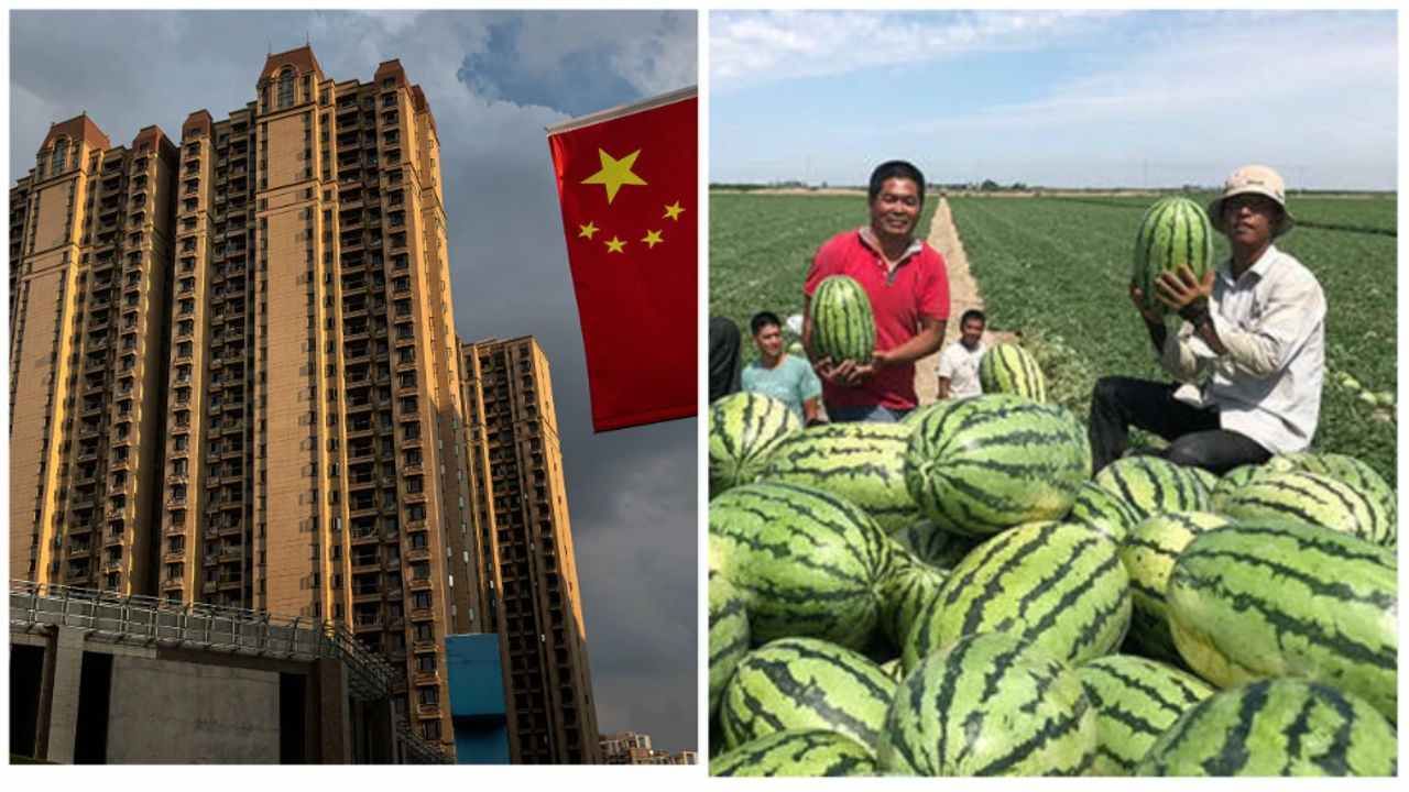 Can a house be bought by giving watermelon and garlic?  The real estate companies of this country are giving this marvelous offer