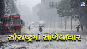 Gujarat Monsoon 2022: દેવભૂમિ દ્વારકા, અમરેલી સહિત સમગ્ર સૌરાષ્ટ્રમાં મેહુલિયાની મહેર, ગીર સોમનાથમાં દરિયાકાંઠે લગાવાયું 3 નંબરનું સિગ્નલ