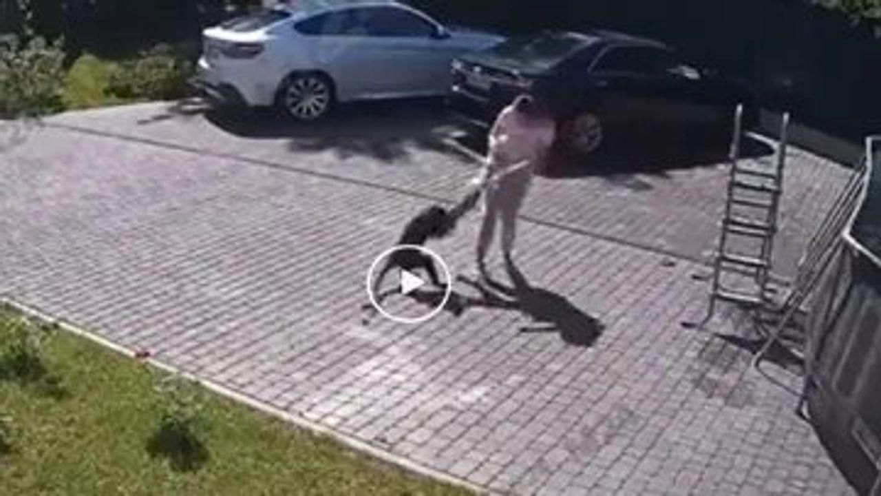 Shocking Video : બગીચામાં રમતી બાળકી પર ખતરનાક વાંદરાએ કર્યો હુમલો, વાયરલ વીડિયો જોઈ ચોંકી ગયા લોકો