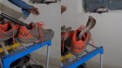 Viral Video: વરસાદની સિઝનમાં ચેક કર્યા વિના પહેરો છો બુટ? તો આ વીડિયો ખાસ જુઓ