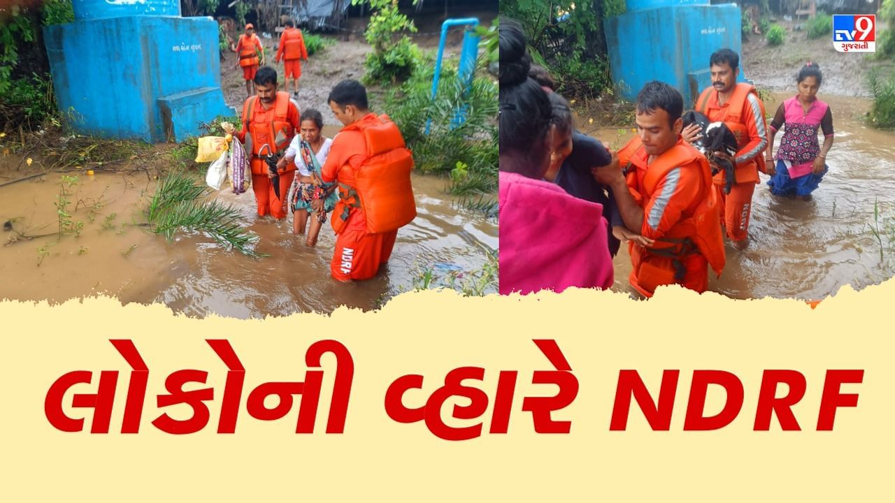 Gujarat Rain: પૂરથી અસરગ્રસ્ત વિસ્તારોમાં 24 NDRF ની ટીમ ખડેપગે, જવાનોના બેમિસાલ સાહસે અનેક જીંદગી બચાવી