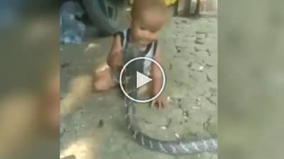 Viral Video: કિંગ કોબરા સાથે રમતો દેખાયો બાળક, વીડિયો જોઈ દંગ રહી ગયા લોકો