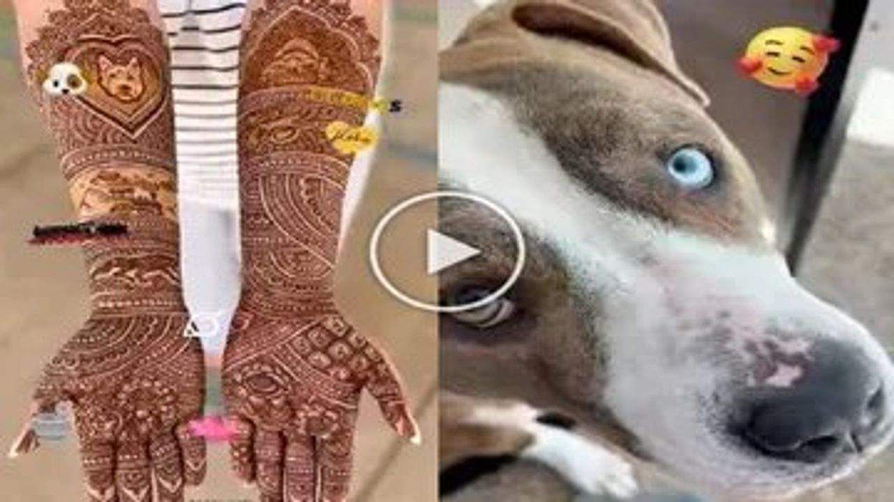 Viral Video: લગ્નની મેહંદીમાં આ કન્યાએ બનાવડાવ્યો કૂતરાનો ચહેરો, જાણો તેની પાછળનું કારણ