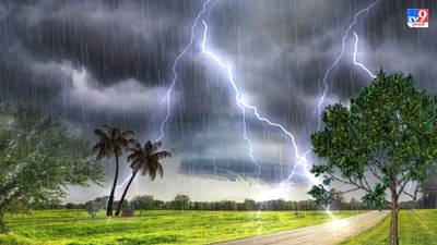 Gujarat Monsoon: ભારે વરસાદની આગાહીને પગલે તંત્ર સાબદું, મંત્રી રાજેન્દ્ર ત્રિવેદીએ આપી માહિતી