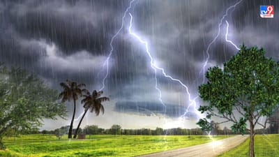 Gujarat Monsoon: ભારે વરસાદની આગાહીને પગલે તંત્ર સાબદું, મંત્રી રાજેન્દ્ર ત્રિવેદીએ આપી માહિતી