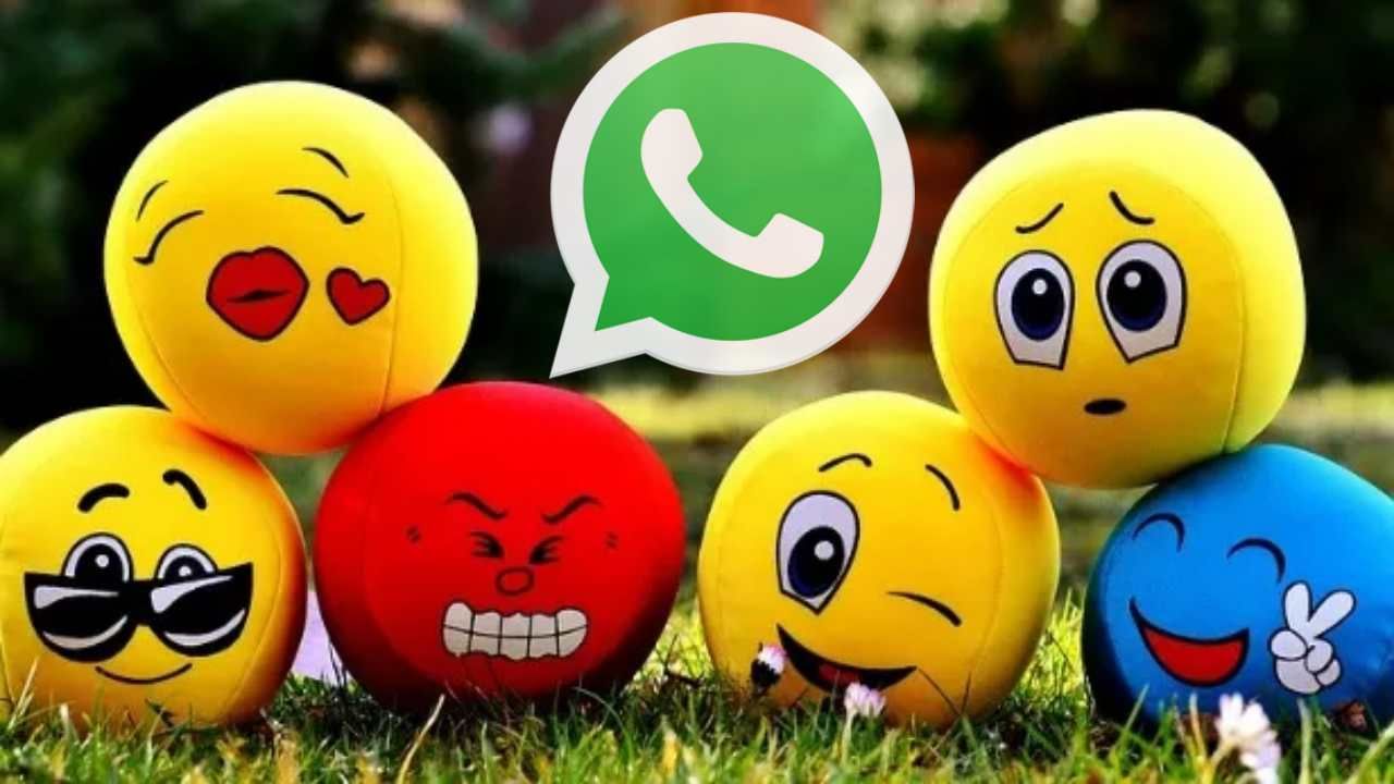 WhatsApp પર દરેક પ્રકારના ઈમોજી રિએક્શન આપી શકશે યૂઝર્સ, જાણો ક્યારથી કરી શકશો ઉપયોગ