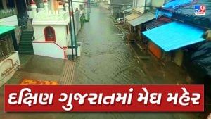 દક્ષિણ ગુજરાતમાં કેવો રહ્યો મેઘરાજાનો મિજાજ, ક્યાં થયા બારે મેઘ ખાંગા અને ક્યાંક વરસાદે લીધો વિરામ? જાણો અહેવાલ દ્વારા