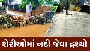 Gir Somnath: પ્રશ્નાવડા ગામ બેટમાં ફેરવાયું, શેરીઓમાં નદી જેવા દ્રશ્યો સર્જાયા, જુઓ VIDEO