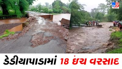 Narmada: ડેડીયાપાડા તાલુકામાં 18 ઇંચ વરસાદ, ભારે વરસાદથી કોઝ વે અને રસ્તાઓ ધોવાયા