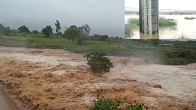 Bharuch : અડધો કલાકમાં 2 ઇંચ વરસાદ ખાબક્યો, નર્મદા બે કાંઠે વહેતી થઇ, રાજપરામાં ચેકડેમ ઓવરફ્લો થયો