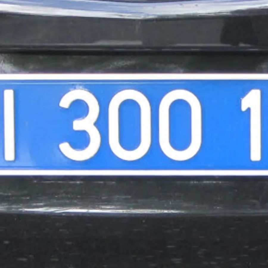બ્લુ નંબર પ્લેટ્સ : દૂતાવાસ સાથે જોડાયેલા વાહનો પર જ વાદળી રંગની નંબર પ્લેટ લગાવવામાં આવે છે. વિદેશી પ્રતિનિધિઓ આ વાદળી નંબર પ્લેટ કારમાં મુસાફરી કરે છે અને વિદેશી રાજદૂત અથવા રાજદ્વારીઓ તેમની કાર પર આ પ્લેટ ધરાવે છે.
