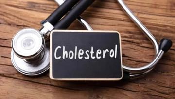 High Cholesterol Foods : આ ખોરાક ઉચ્ચ કોલેસ્ટ્રોલને નિયંત્રિત કરવામાં મદદ કરે છે