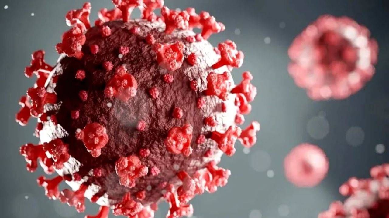 Coronavirus : ચીનમાં ફરીથી કોરોનાને લઈને ગભરાટ, શાંઘાઇમાં ઓમિક્રોનનો નવો વેરિઅન્ટનો કેસ નોંધાયો